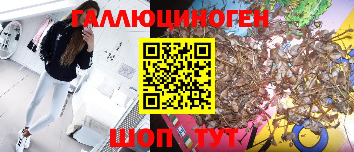 Галлюциногенные грибы прущие грибы  Галлюциногенные грибы мицелий  Киров  Вход с VPN 