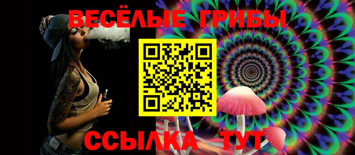 Псилоцибиновые грибы мухоморы Киров